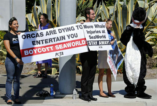 PETA Debuts Anti-SeaWorld Ad Targeting Comic Con Attendees