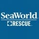 SeaWorld Orlando Facilitates Hearing Test for Rescued Dolphin