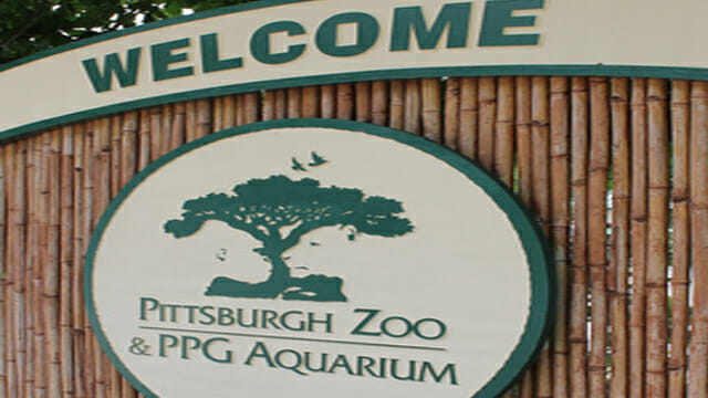 Pittsburgh Zoo Offering Drive-Through COVID-19 Testing In Parking Lot