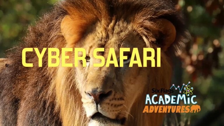New Cyber Safari Coming To Six Flags Great Adventure