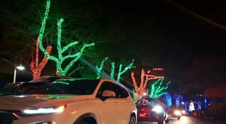 Celebrate 2021! Drive-Thru Experience Coming To Six Flags Discovery Kingdom