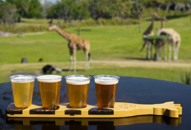 Busch Gardens Tampa To Open New Giraffe Bar