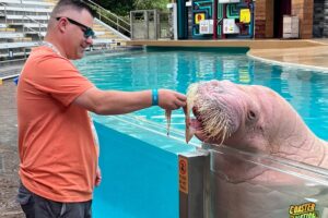 SeaWorld Orlando Launches Black Friday Deals