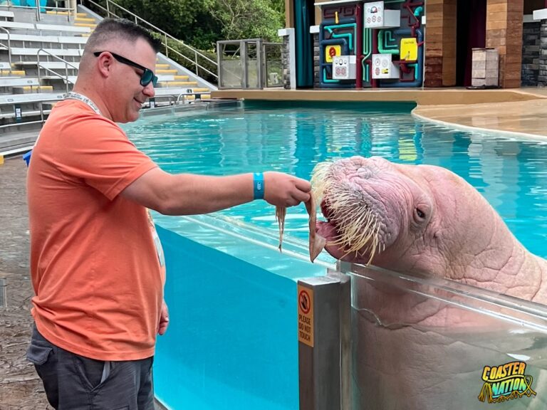 SeaWorld Orlando Launches Black Friday Deals