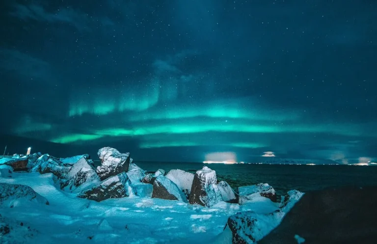 SeaWorld Orlando to Launch World’s First Arctic Flying Theater Attraction